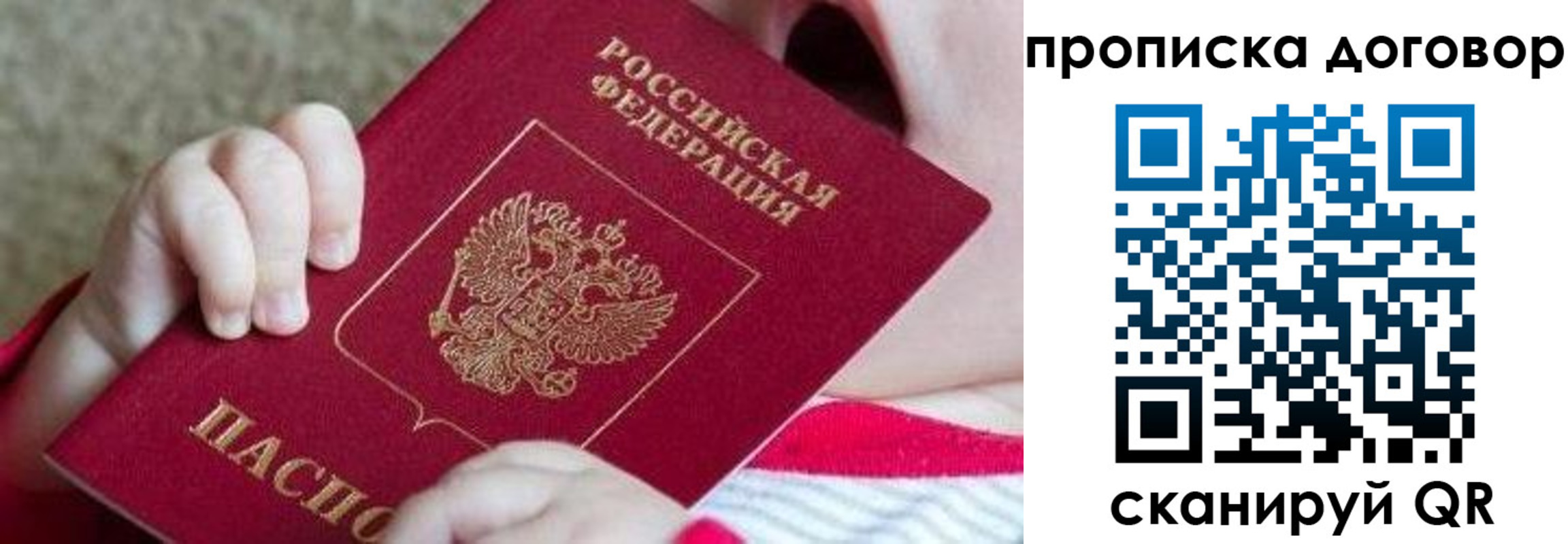 временная регистрация поиск в Смоленской области